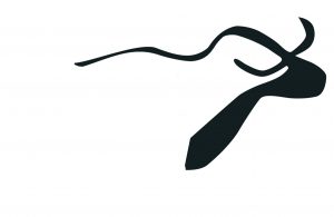 Logo - Comité départemental Archéologie du Tarn